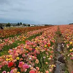 Fijne Aan Zee شقة