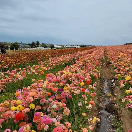 Fijne Aan Zee Apartamento