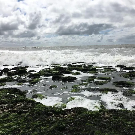 Fijne Aan Zee *