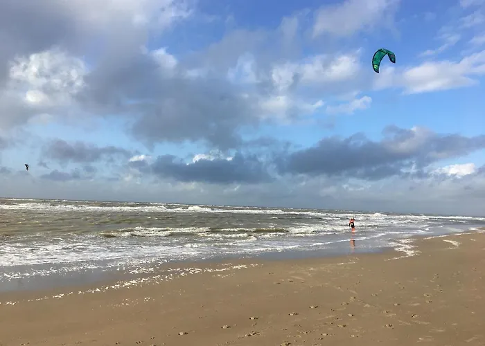 Fijne Aan Zee *