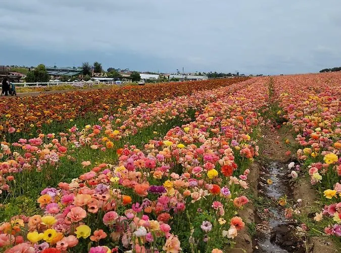 Fijne Aan Zee 아파트
